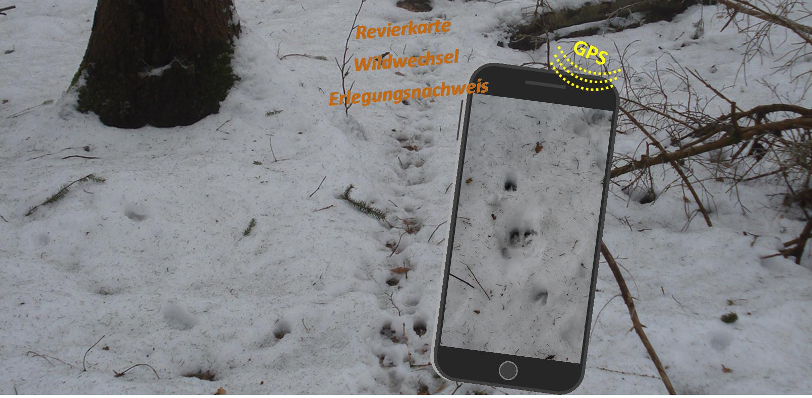 RErlegungsnachweise, Wildwechsel und weitere Jagdinformationen per Smartphone sammeln