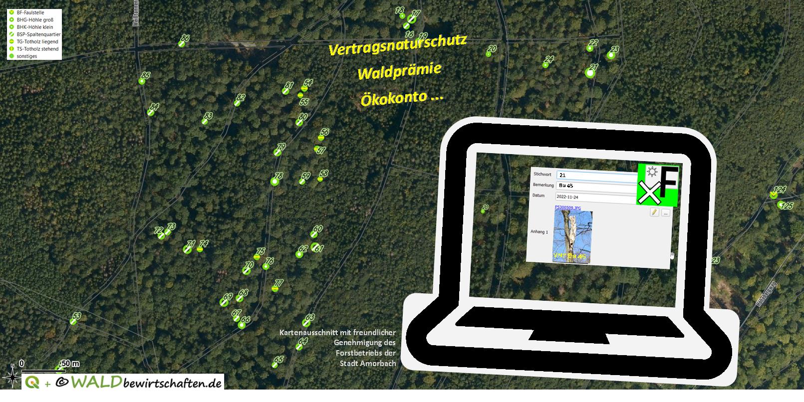 Karte Ihrer geförderten Biotopbäume Vertragsnaturschutz oder Waldprämie