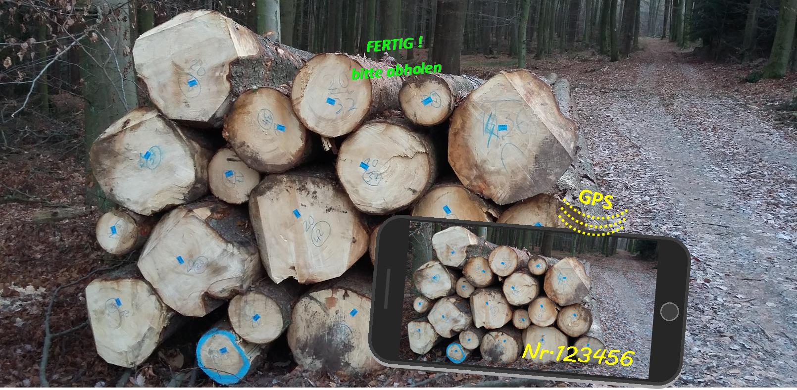 Polter und Holzmengen erfassen und disponieren